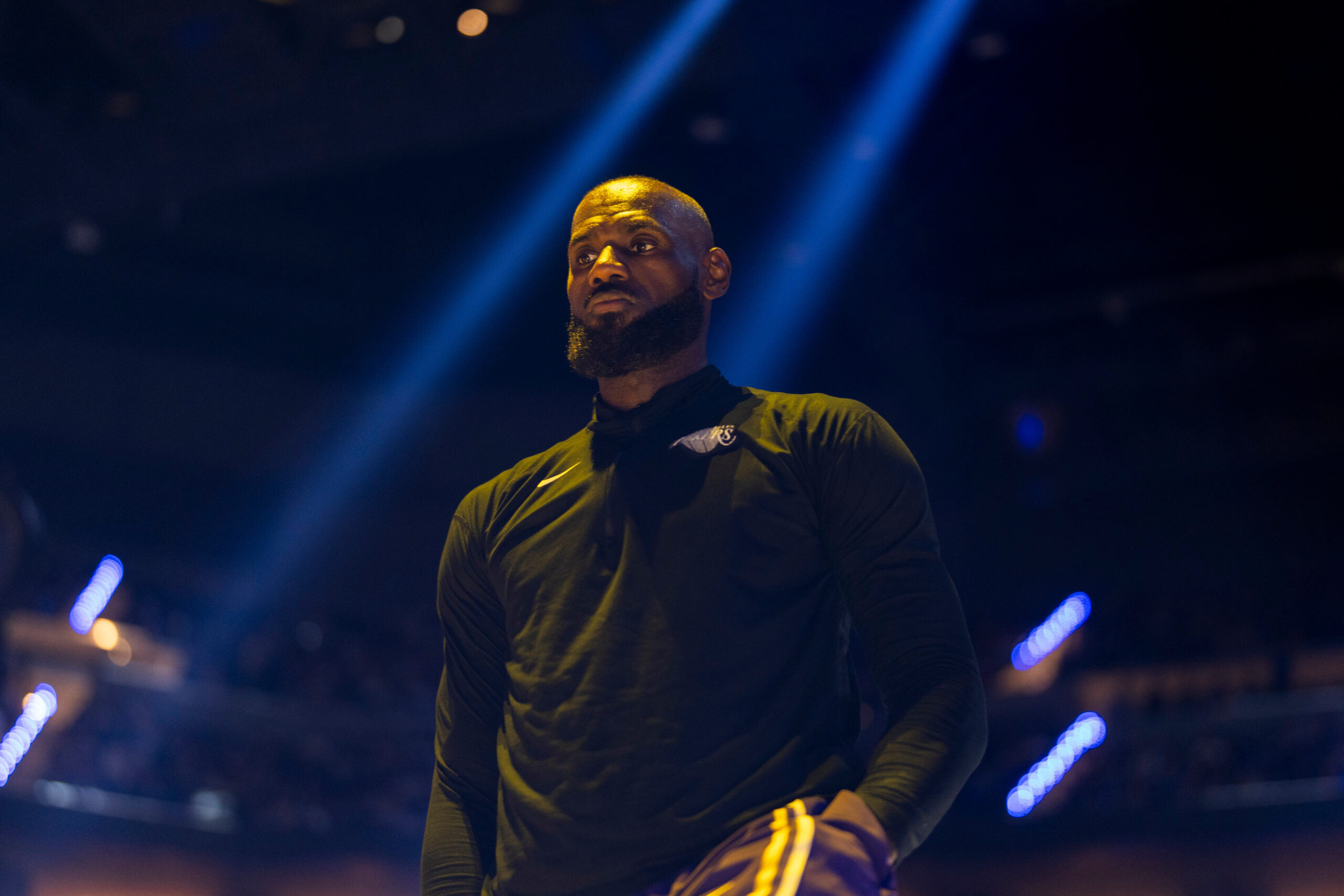 LeBron James Playoff Lakers